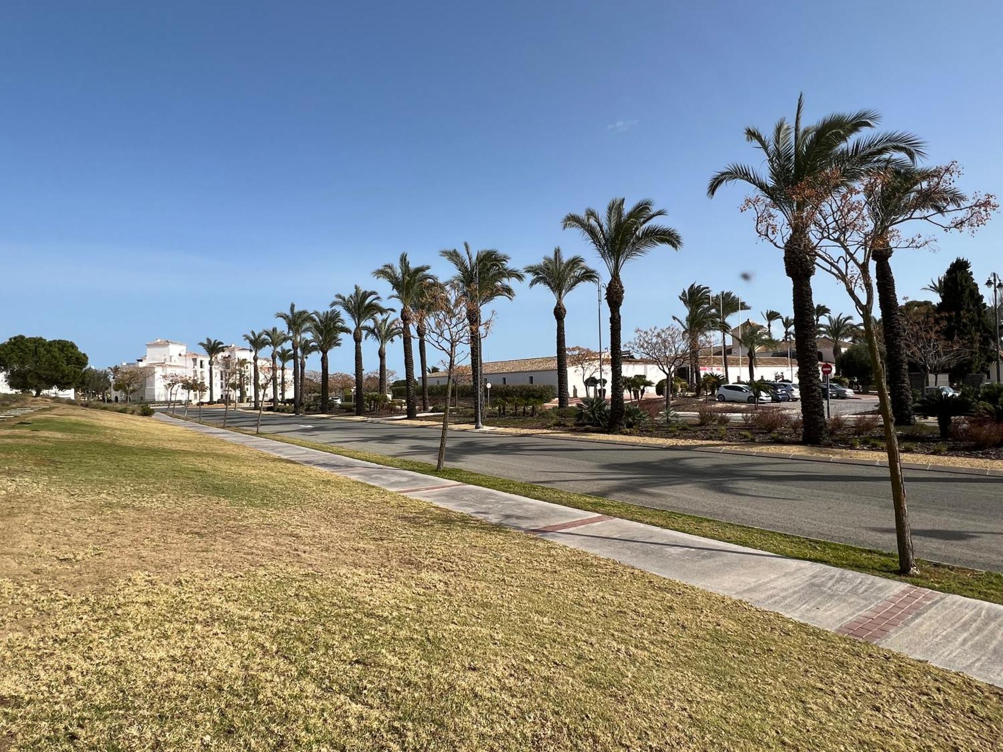 Apartment In Hacienda Riquelme Golf Resort Sucina Exteriör bild